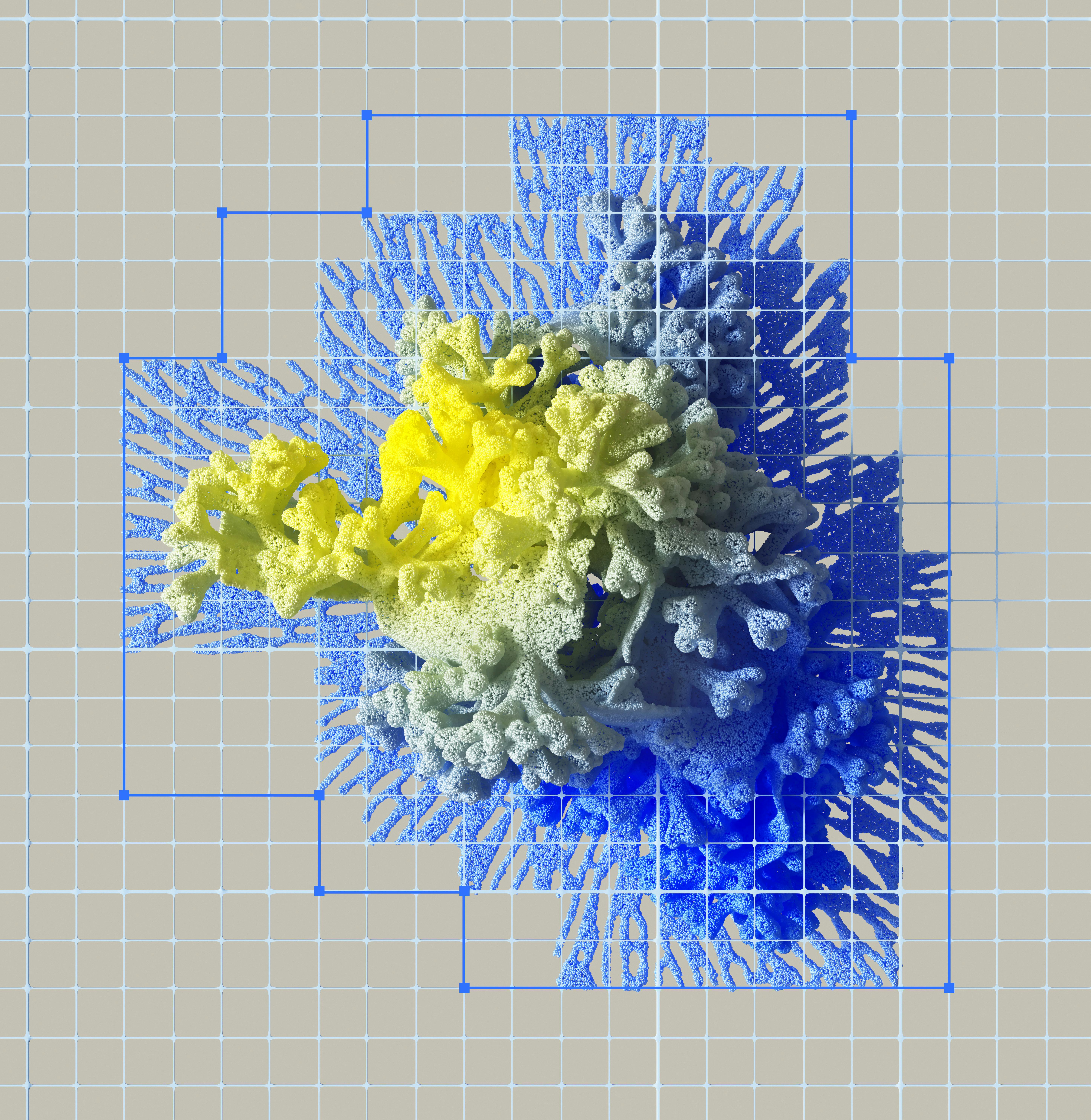 BLOB Project